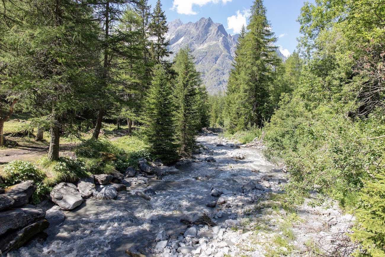 sapin-soleil-tour-mont-blanc-a-pied