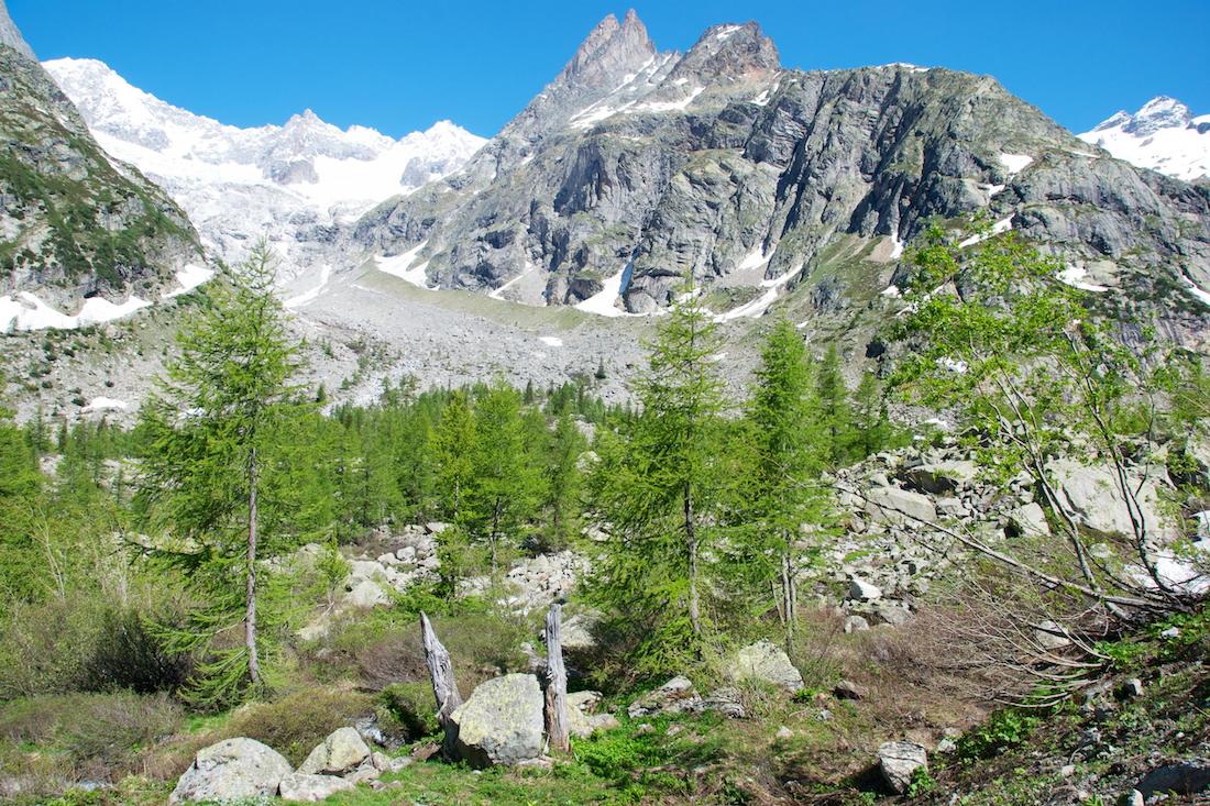 tours mont blanc with guide in France